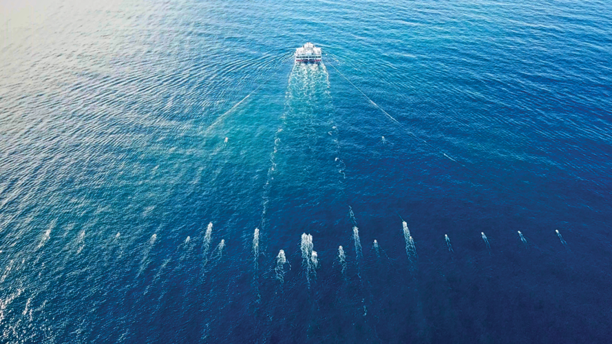 Article images4 Article images4